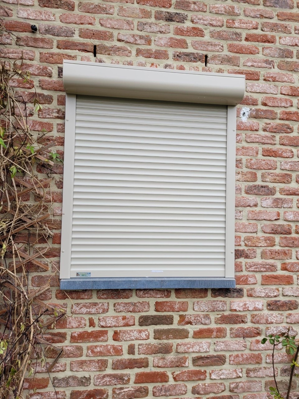 Volet beige